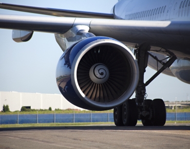 Gallery: Art & Illustration